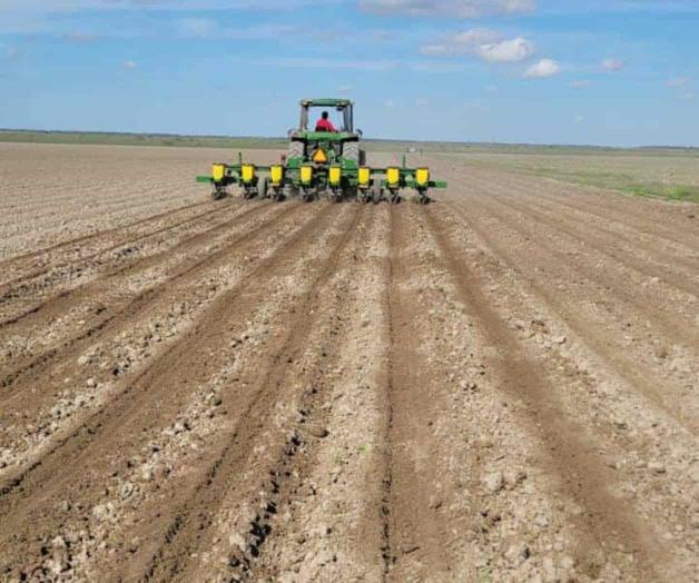 Refuerzan expectativa de una buena cosecha