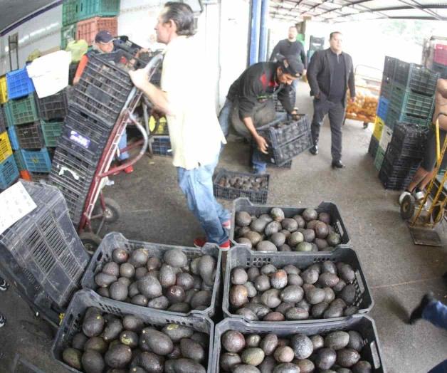 Aguacates de huertas ilegales no se exportarán a EU: Ken Salazar