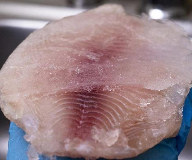 Hasta el 60% del peso del pescado congelado es agua, revela estudio