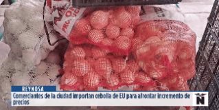 Reynosa | Ante el incremento en el precio de la cebolla que no logra bajar, como una alternativa se importa desde Estados Unidos.