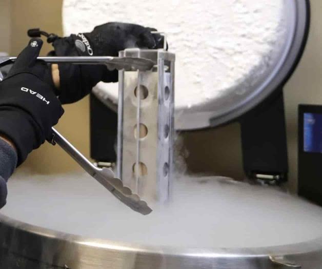 Piden revisar fallo sobre embriones