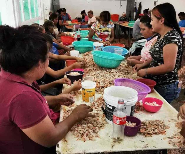 Monitorea Coepris negocios de comida Monitorea Coepris negocios de comida