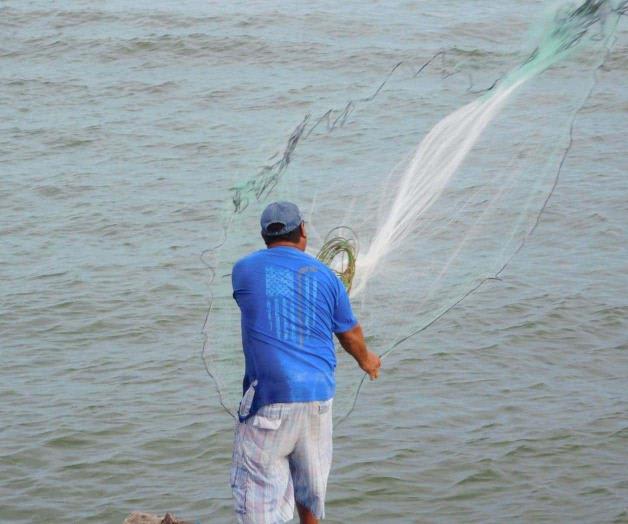 Disminuye la pesca en Altamira Disminuye la pesca en Altamira
