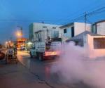 Matamoros, a salvo en casos de dengue