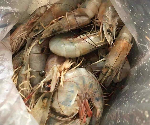 Mantienen los costos en venta de mariscos