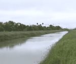 Hallan cuerpo sin vida a orillas de un canal