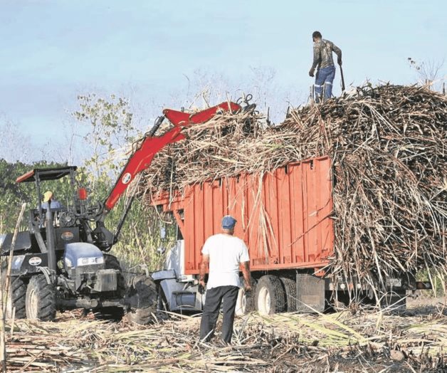 Sufre el sector cañero extorsiones y violencia Sufre el sector cañero extorsiones y violencia