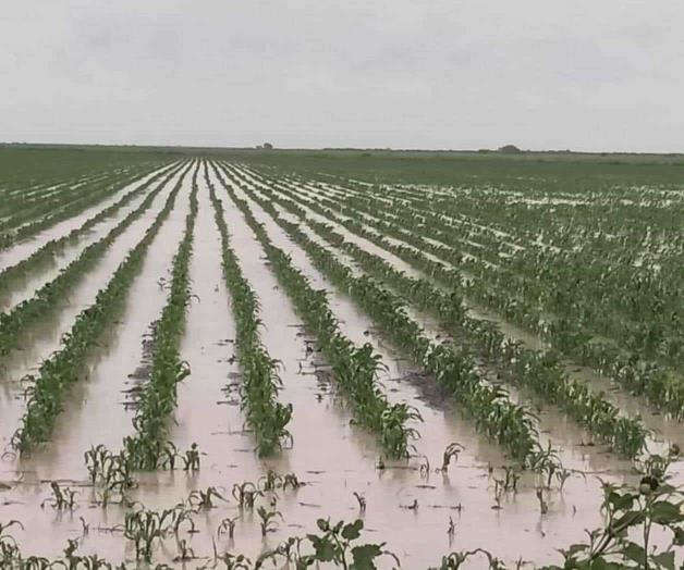 Registran las parcelas inundación