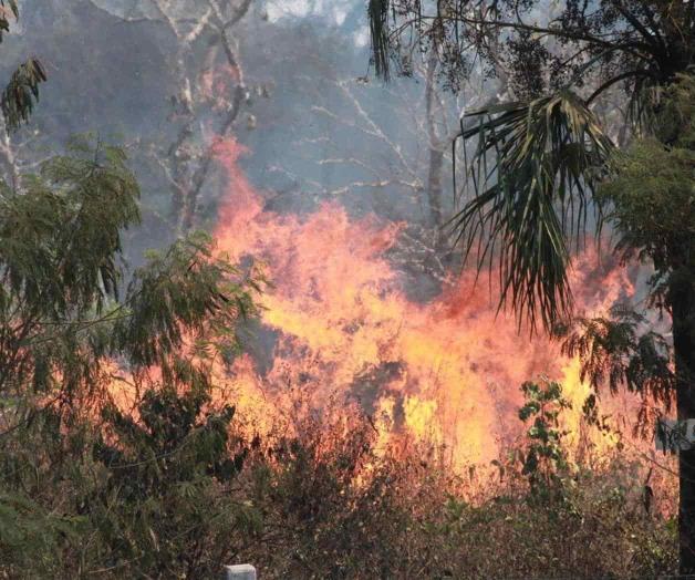 Situación de los Incendios Forestales en México: 26 están activos