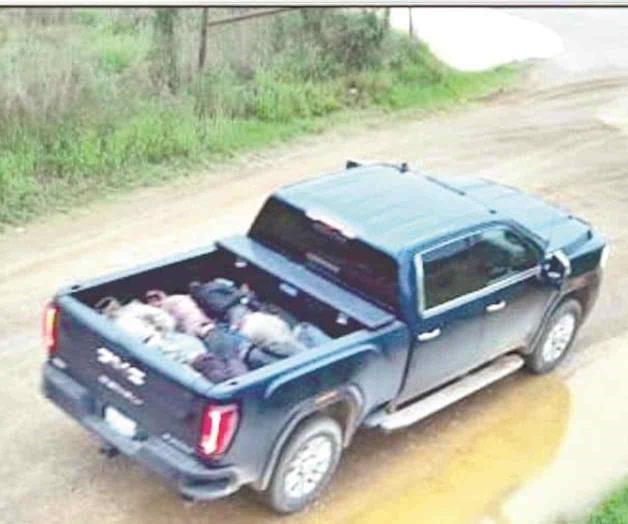 Frenan cinco intentos de tráfico de personas