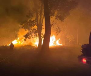 Suman 95 Incendios forestales activos en México; ayer eran 58 Suman 95 Incendios forestales activos en México; ayer eran 58
