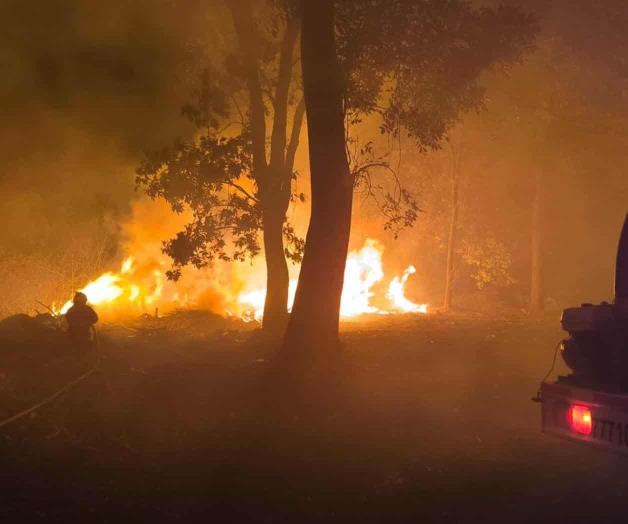 Suman 95 Incendios forestales activos en México; ayer eran 58