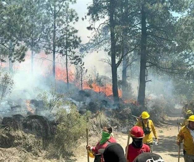 Se registran 4 nuevos incendio forestales activos en México; suman 120 Se registran 4 nuevos incendio forestales activos en México; suman 120