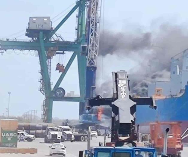 Cae potente grúa en zona portuaria