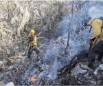 Solicitan a Semarnat informe sobre acciones para combatir incendios 