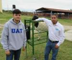 Estudiante de la UAT desarrolla sistema de alimentación de borregos