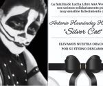 Fallece Silver Cat, referente de la Triple A