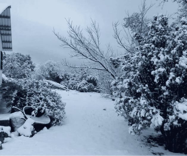 Nieve pinta de blanco 3 municipios de Chihuahua