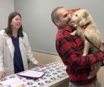 Perrita que se perdió en California en julio pasado aparece en Michigan