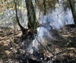 Pierde México 9.3% de su masa forestal