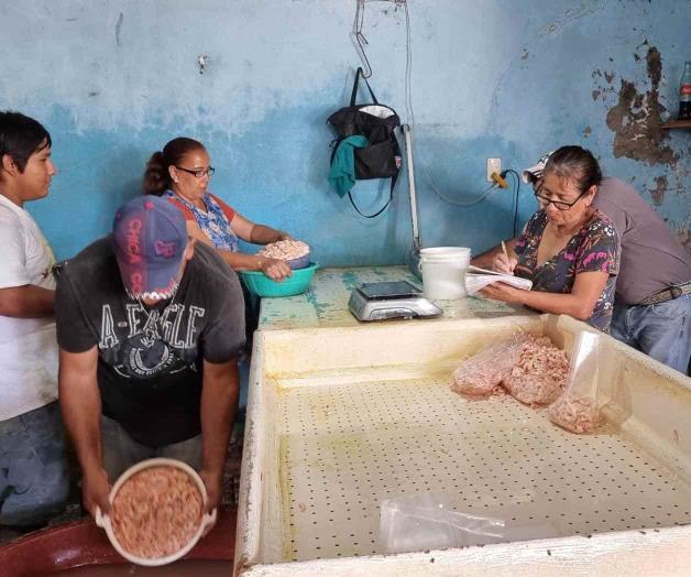 Escasea el camarón y se dispara su precio