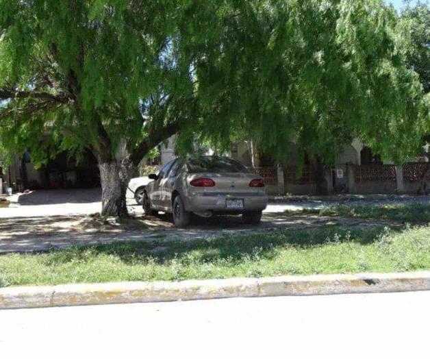 Aparcan sobre áreas verdes