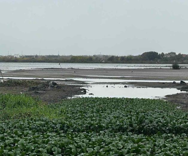Llama CIEST a no entrar en pánico por escasez de agua