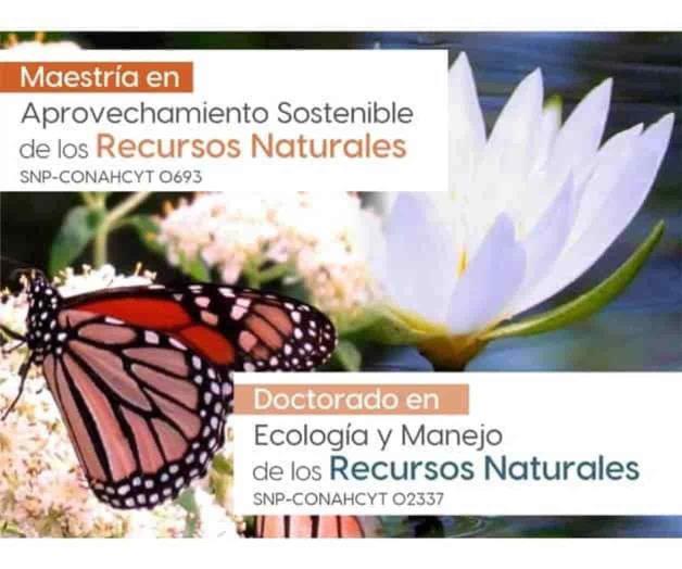 Áreas de ecología y recursos naturales en la UAT convocan a cursar posgrados