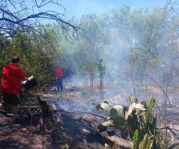 Quema de pastizal pone en riesgo a una vivienda