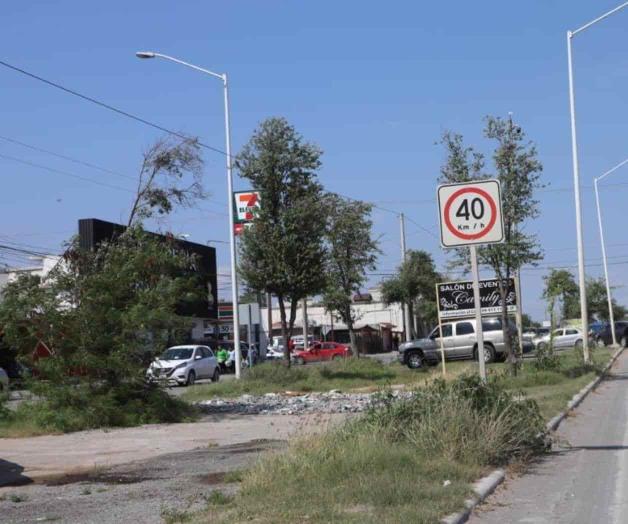 Luce avenida de Reynosa como ‘selva’