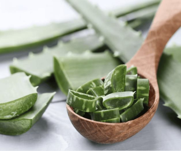 Beneficios del aloe vera para combatir la caída del cabello