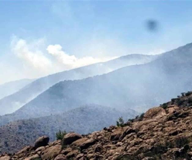 Crecen áreas naturales; CONANP recibe mil 400 mdp menos Crecen áreas naturales; CONANP recibe mil 400 mdp menos