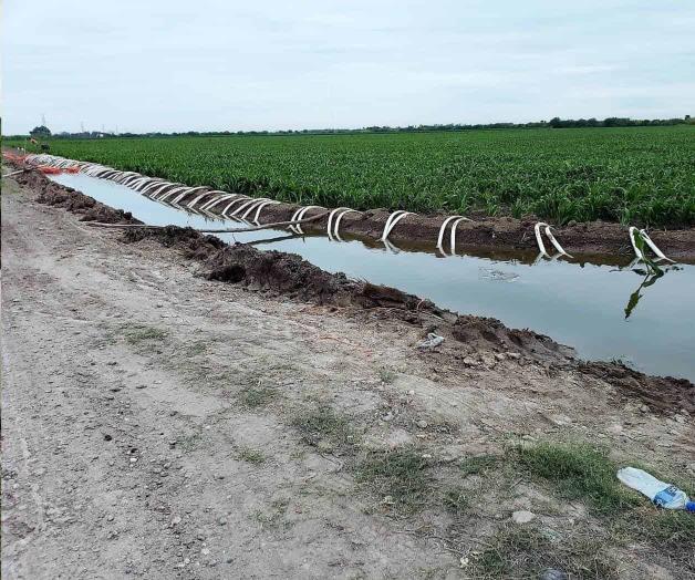 Aguaceros auxilian a quienes no aplicaron riego de asiento Aguaceros auxilian a quienes no aplicaron riego de asiento