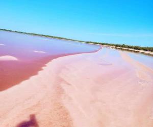 Tesoro oculto de Tamaulipas: La laguna rosada de Soto La Marina