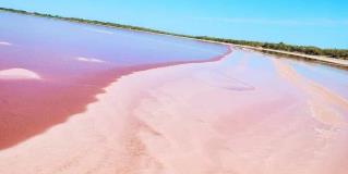 Tesoro oculto de Tamaulipas: La laguna rosada de Soto La Marina