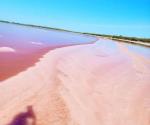 Tesoro oculto de Tamaulipas: La laguna rosada de Soto La Marina