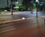 Muere una mujer al ser atropellada
