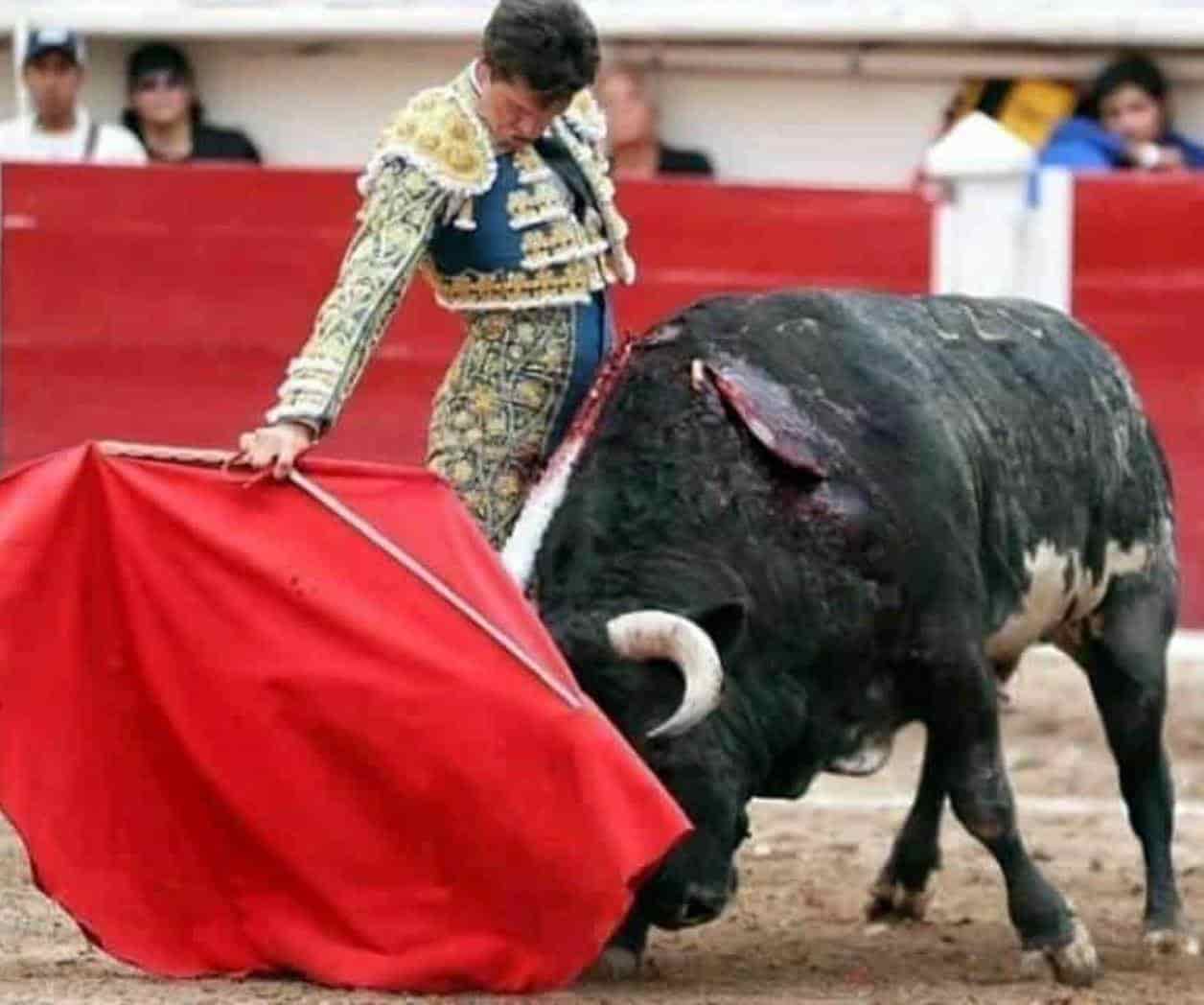 Suspenden, otra vez, corridas de toros en la Plaza México