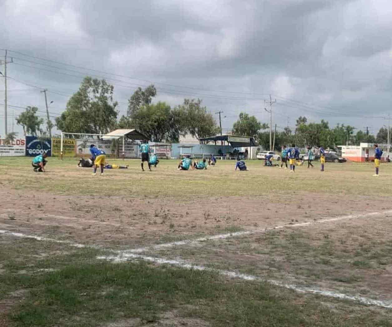 Peligran jugadores por nube de abejas