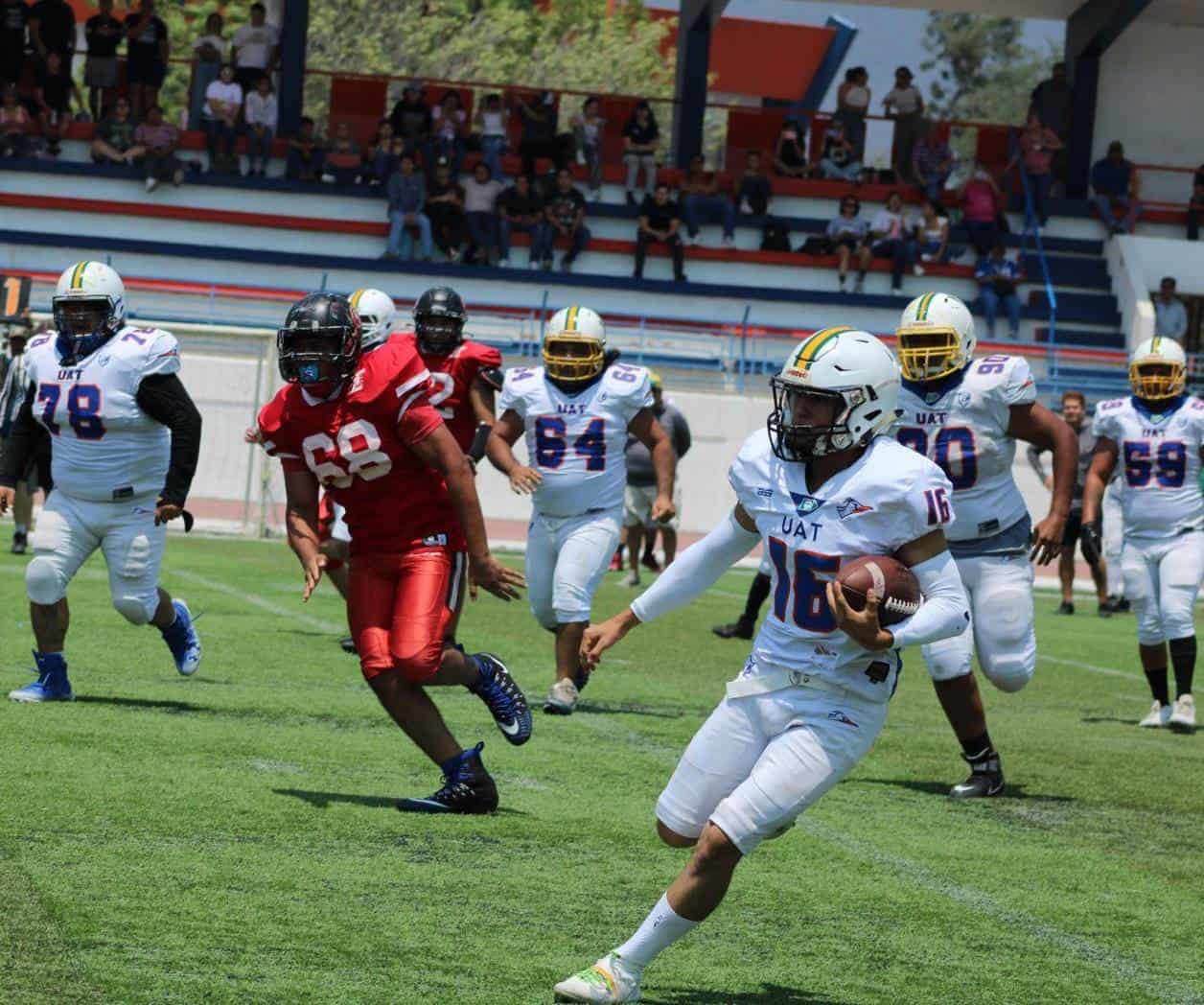 Búhos - Cuernos Largos, la Final Búhos - Cuernos Largos, la Final