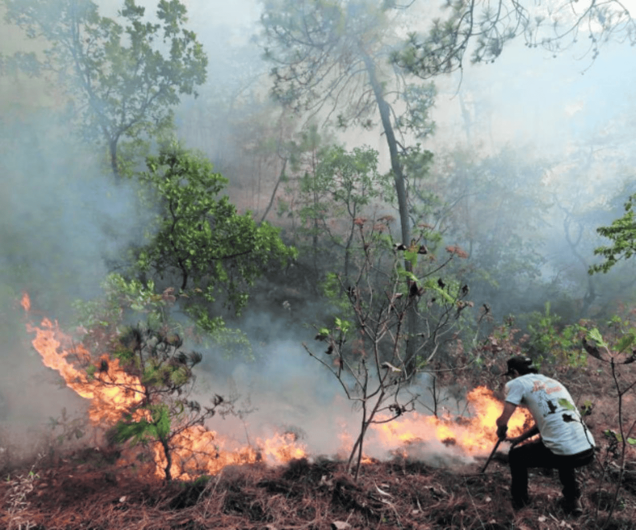 SSEM aclara video viral sobre incendio en Cerro Cuauhtenco