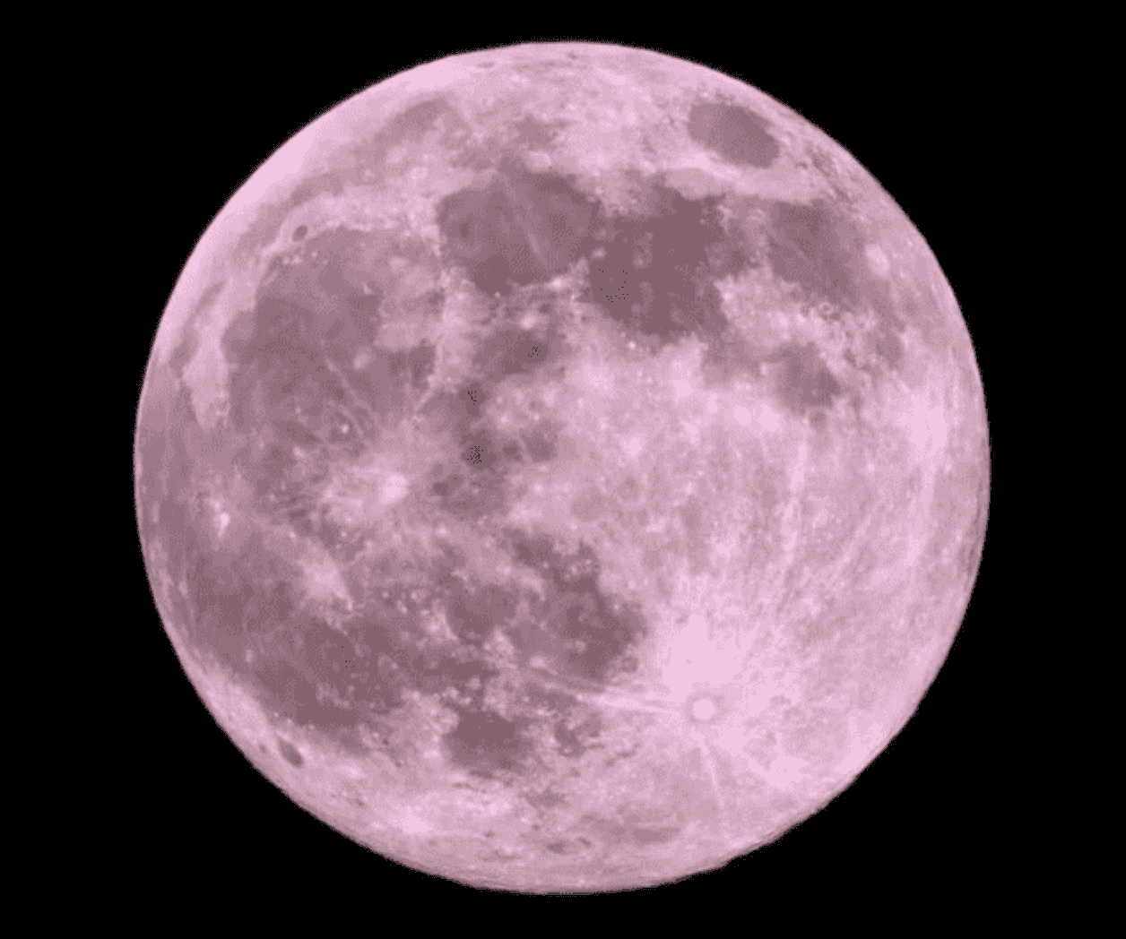 Luna de flores 2024, el fenómeno astronómico de mayo