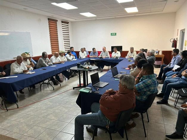 Revelan plagas; se reúnen productores en Río Bravo