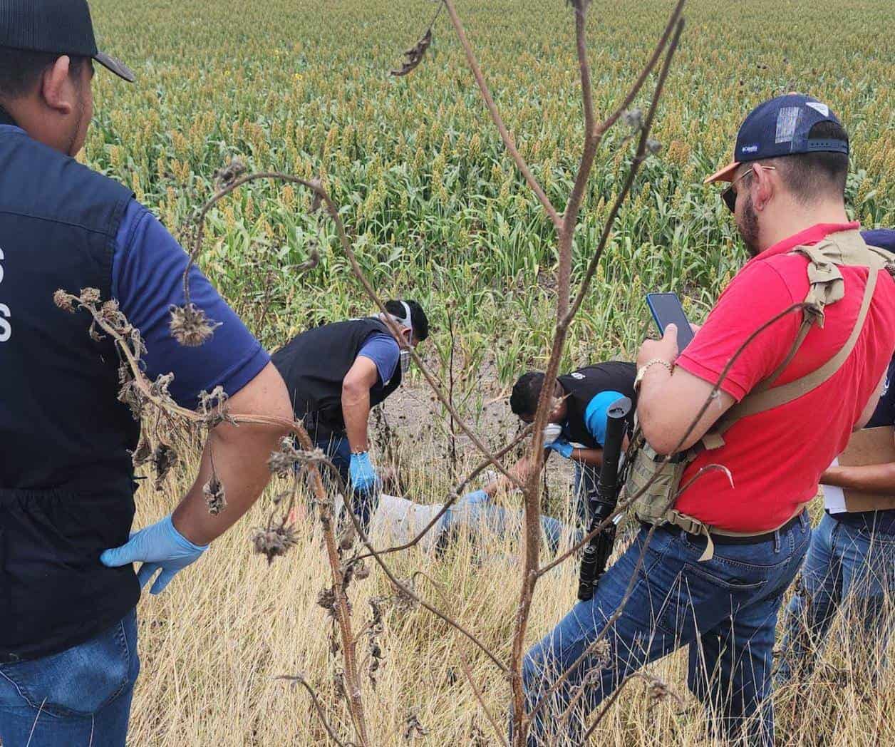 Identifican cuerpo hallado en brecha, en Valle Hermoso