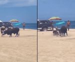 Toro embiste a una mujer en playa de Los Cabos