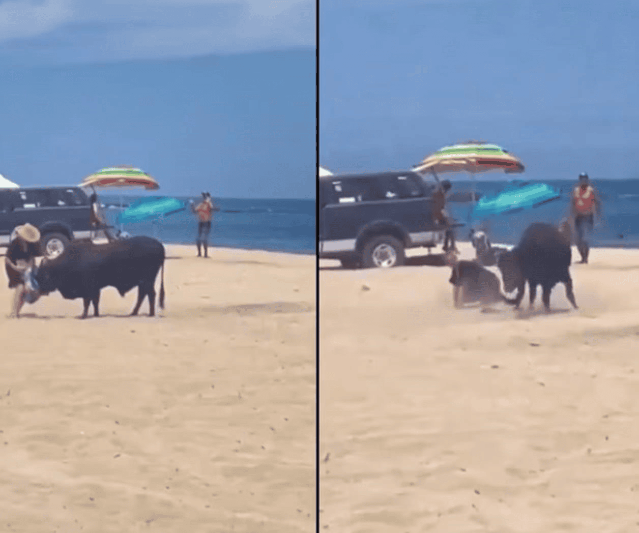 Toro embiste a una mujer en playa de Los Cabos Toro embiste a una mujer en playa de Los Cabos