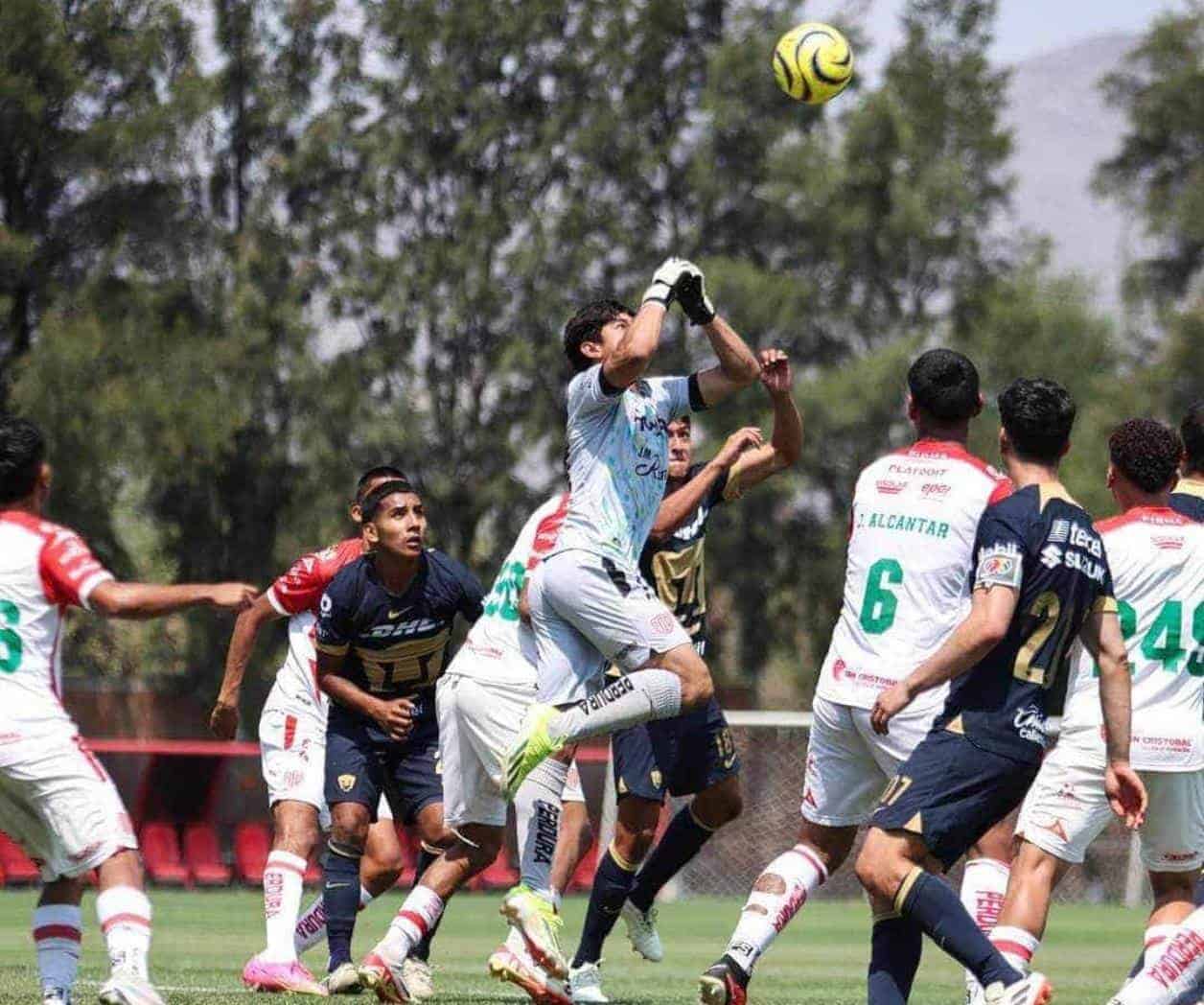 Emiliano Pérez y los Rayos ¡A la Final!