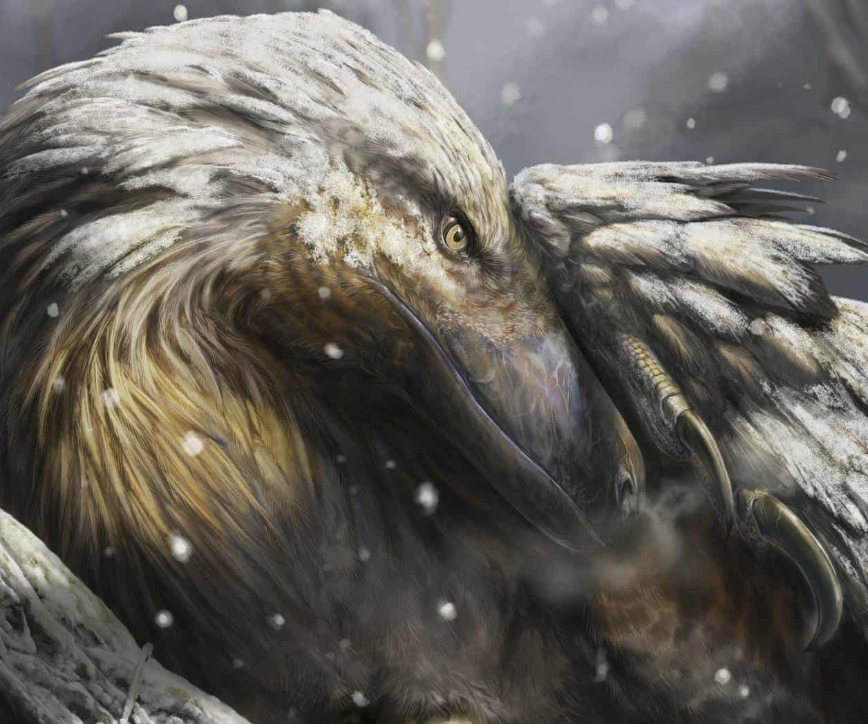 ¿Cómo evolucionaron los primeros dinosaurios? ¿Cómo evolucionaron los primeros dinosaurios?