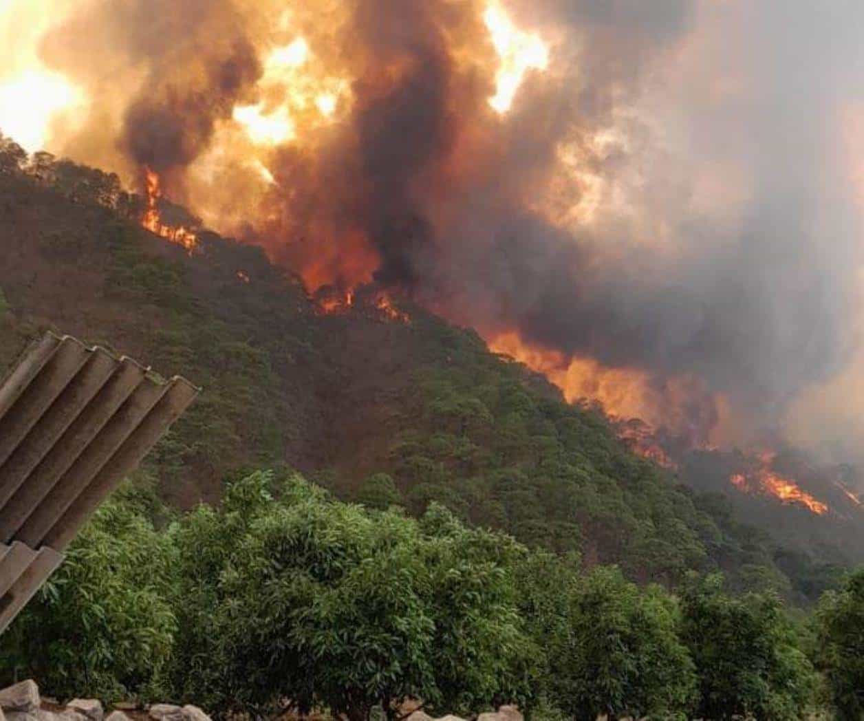 Incendio forestal cobra vida de voluntario en Mascota, Jalisco
