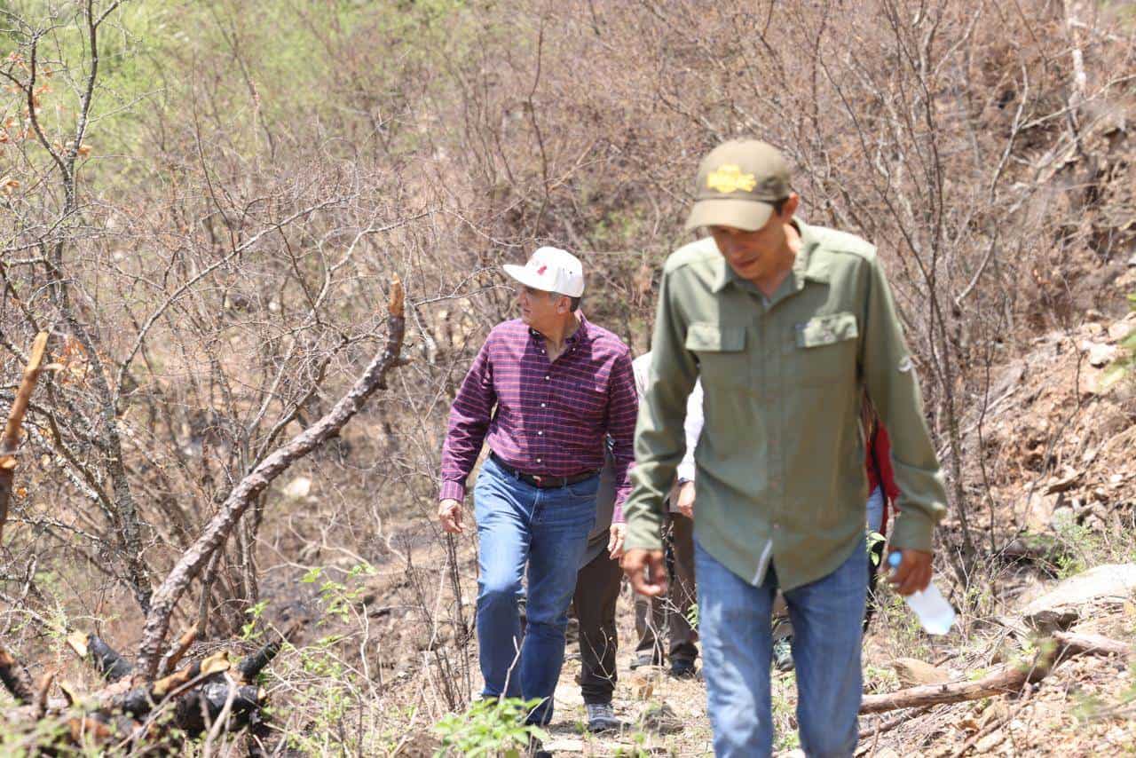 Américo Villarreal supervisa trabajos en el Cañón del Novillo; incendio controlado al 65%